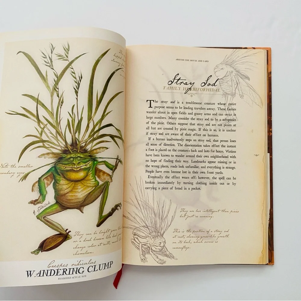 Arthur Spiderwick's Field Guide Book to the Fantastical World Around You